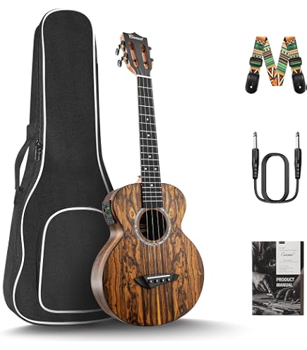 Amazon.com: Eastman VL305 Andreas Eastman Intermediate Violin - 4